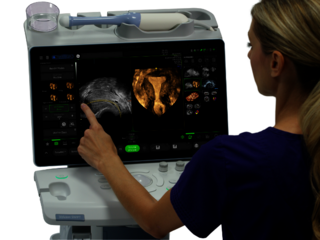 A female doctor working on her Voluson SWIFT ultrasound system