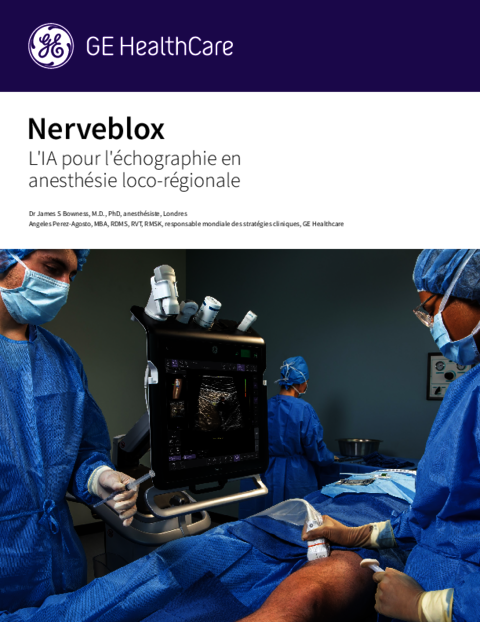 PDF whitepaper nerveblox