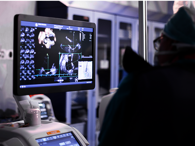 Ein Arzt arbeitet an seinem Vivid E95 Ultraschallgerät