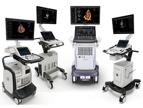 Produits de la famille Vivid