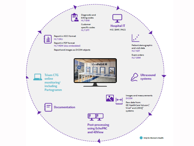 Infographic showing the ViewPoint 6 workflow